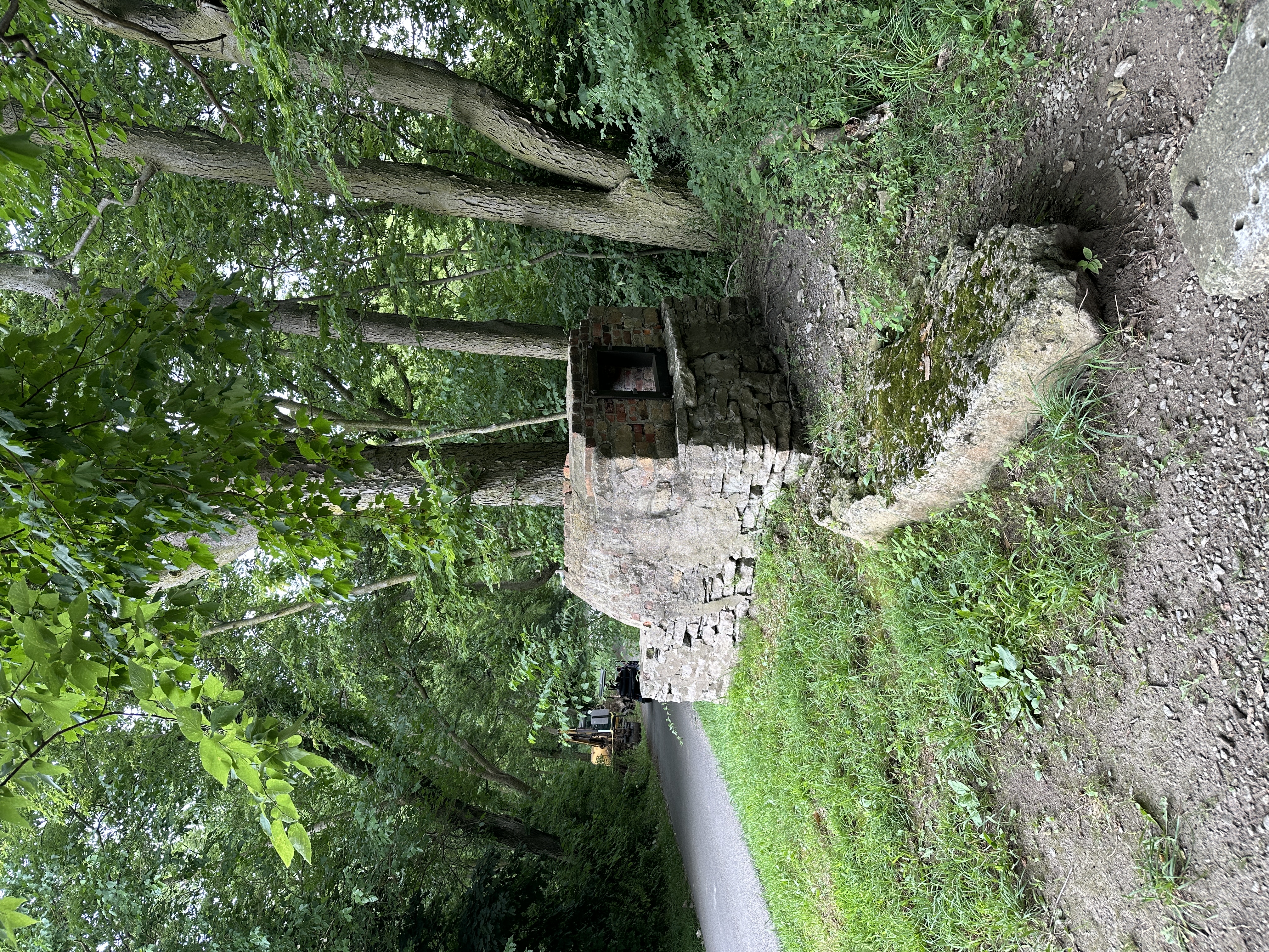 IslandSchoolSHEDJonGott